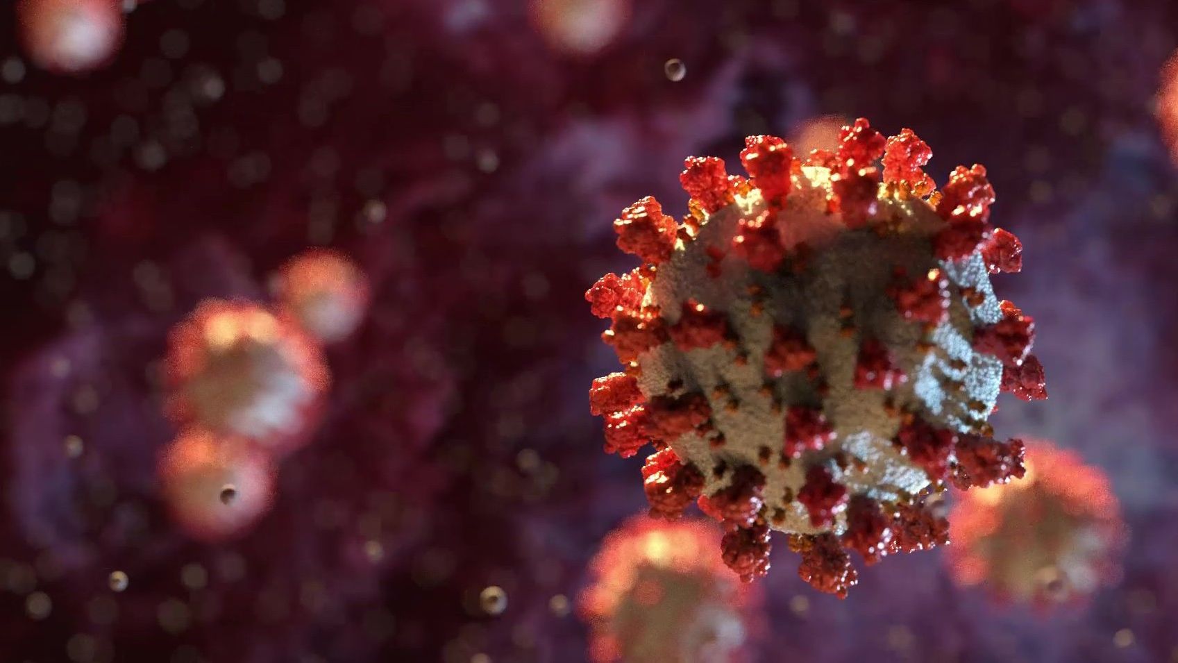 demcon-macawi-demcair-virus